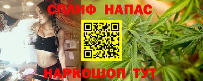 Альфа ПВП Сланцы