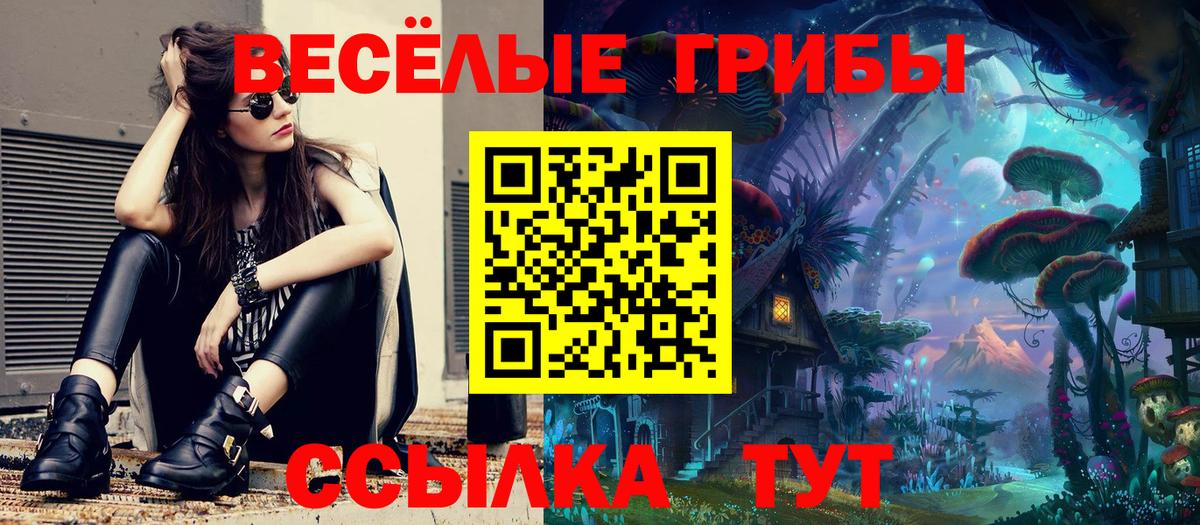 Обь  Псилоцибиновые грибы ЛСД  купить   Вход с VPN 