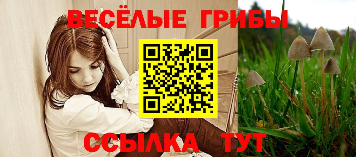 Псилоцибиновые грибы мицелий Обь